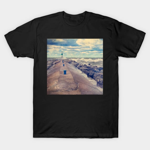 Dreaming of Lake Michigan T-Shirt by perkinsdesigns